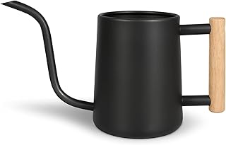 Watering Can for Indoor Plants, 35 oz/1000 ml Metal Stainless Steel Pot with Long Spout for House Plants Bonsai Outdoor Garden Flower Decorative (Black)