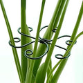 4PCS Iron Monstera Support, Uniquely Designed Plant Support Stakes for Indoor Plants, Stable Plant Stakes and Supports, Turtle Shell Bamboo Clamp Set for Thriving Growth