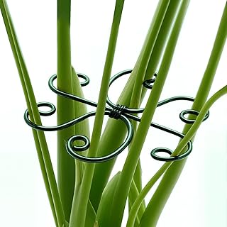 4PCS Iron Monstera Support, Uniquely Designed Plant Support Stakes for Indoor Plants, Stable Plant Stakes and Supports, Turtle Shell Bamboo Clamp Set for Thriving Growth
