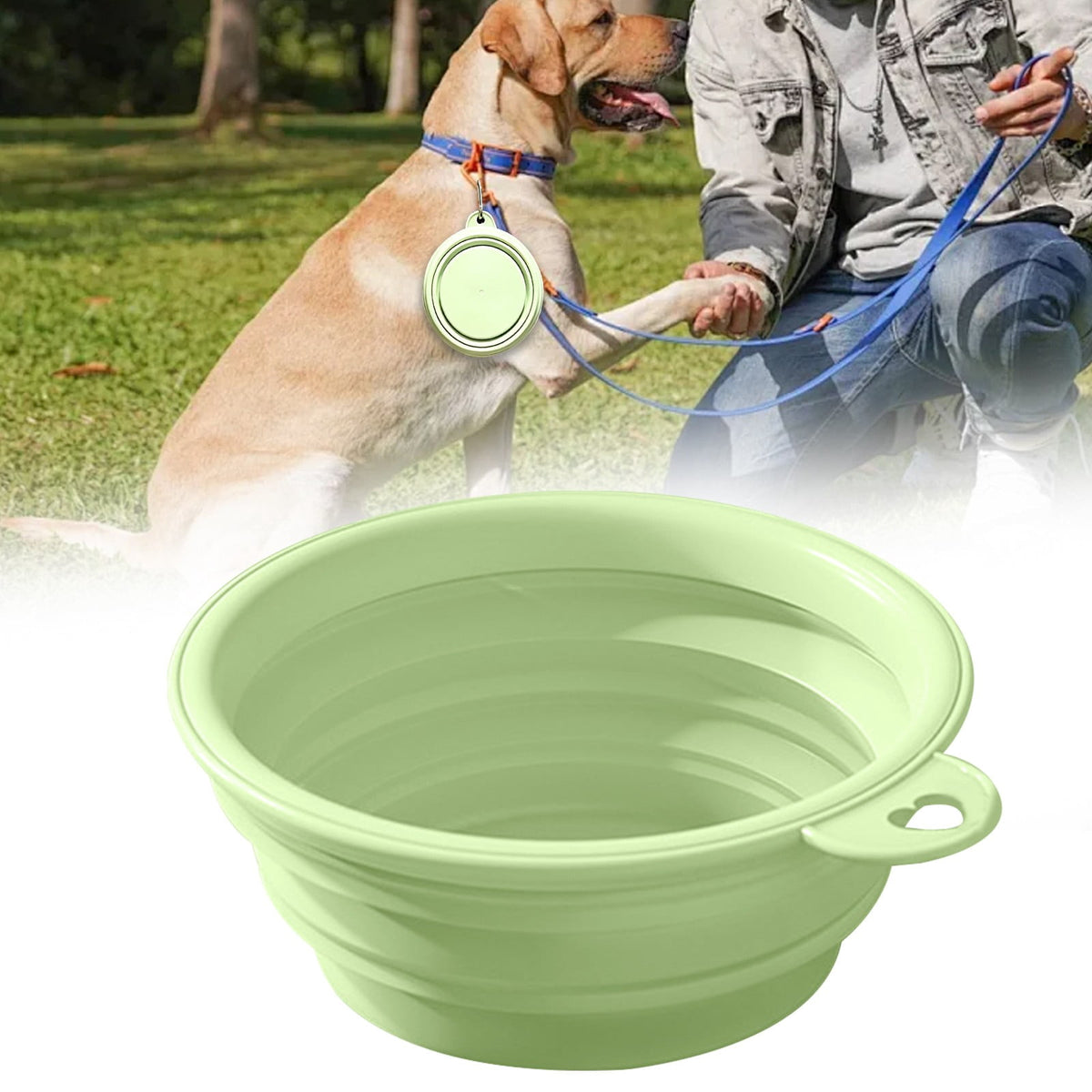 Silicone Collapsible Dog Bowls & Cat Bowls, Portable Travel Bowls, Foldable Food Water Feeding Dishes for Dogs Cats - Image 2